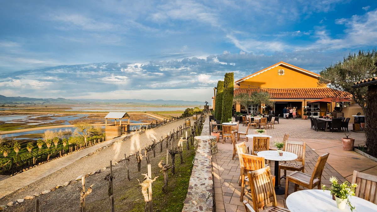 Executive Car Service from San Francisco to Sonoma – Your Path to Comfort