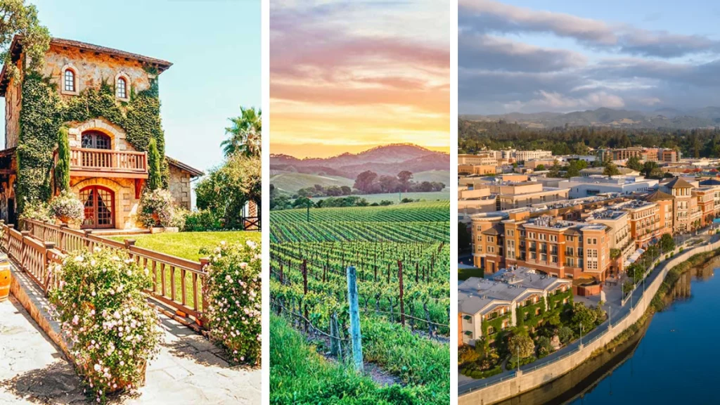 Private shuttle from San Francisco Airport to Napa Valley in a luxury SUV