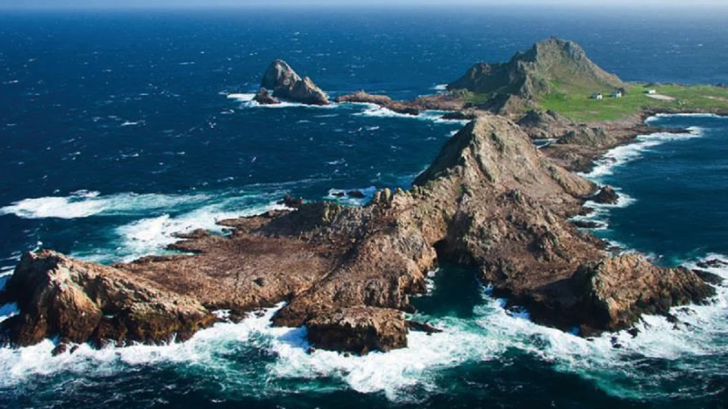 Luxury car service in San Francisco ready for Farallon Islands tour departure