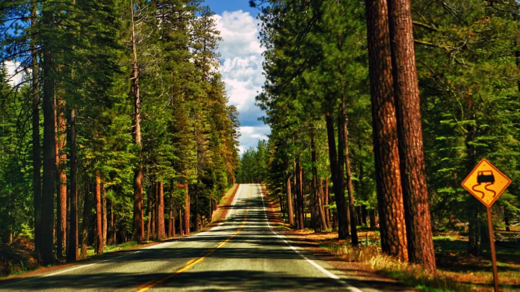 Scenic highway leading to Redwood National Park from San Francisco with coastal views and towering trees