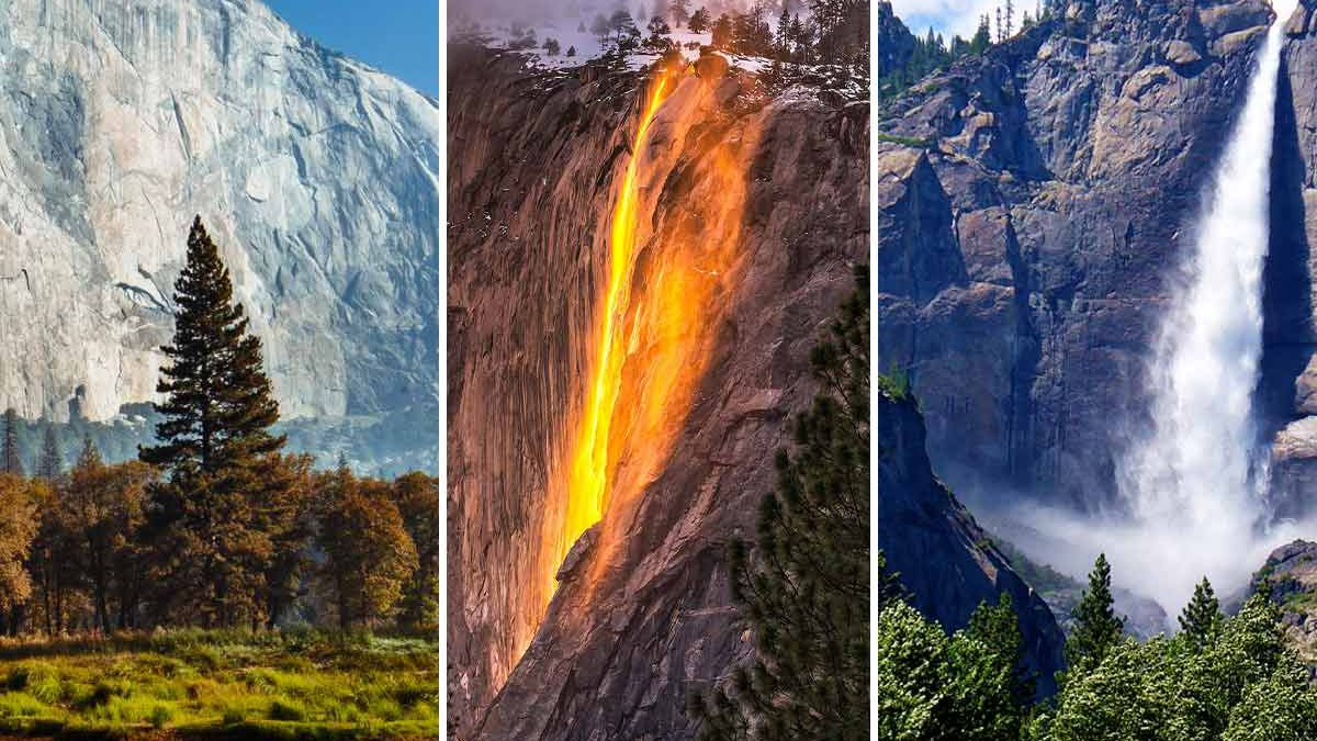 How to Get from San Francisco to Yosemite National Park? | Tours, Itinerary & Travel Guide
