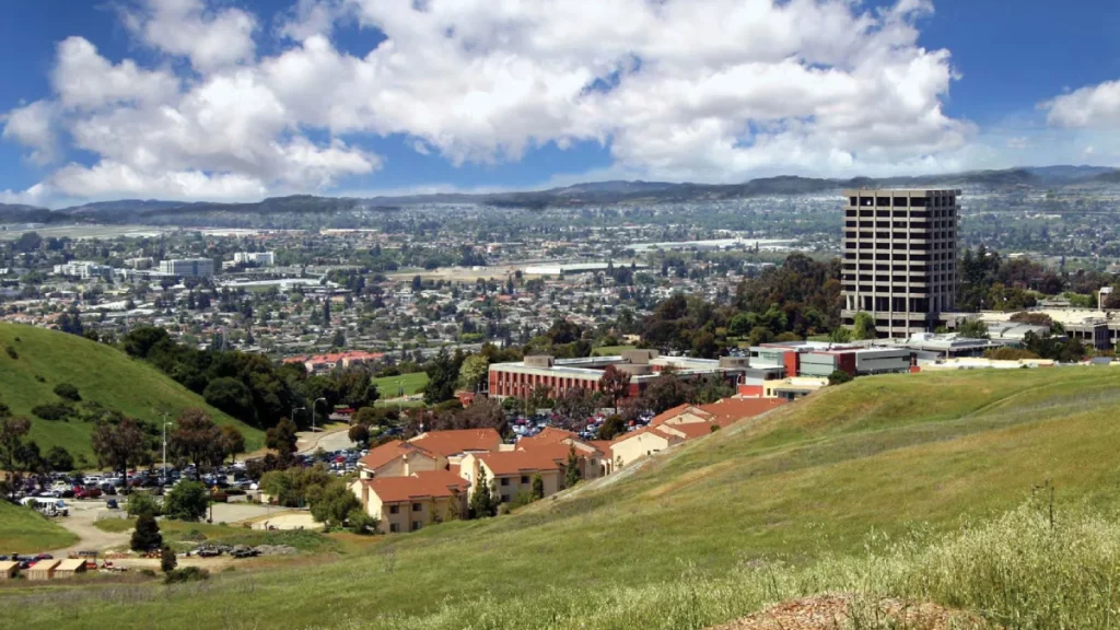 Executive Limo Service Hayward CA with Chauffeur and Luxury Fleet