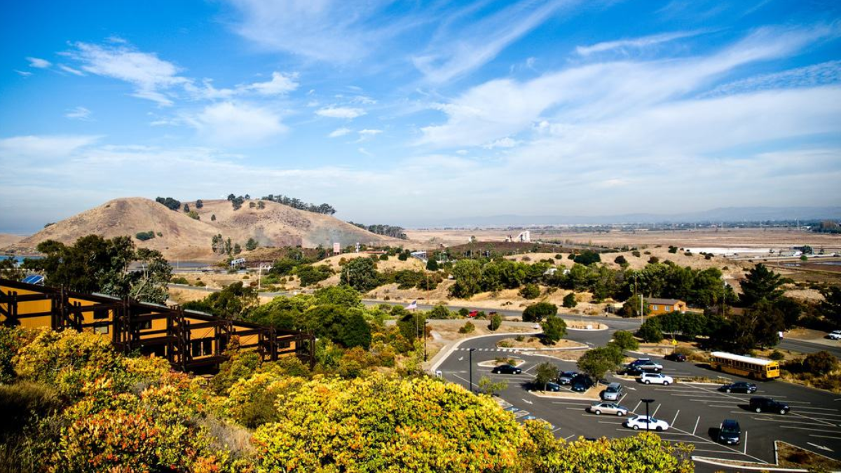Experience Fremont Limousine Service With Professional Chauffeurs And Elegant Rides